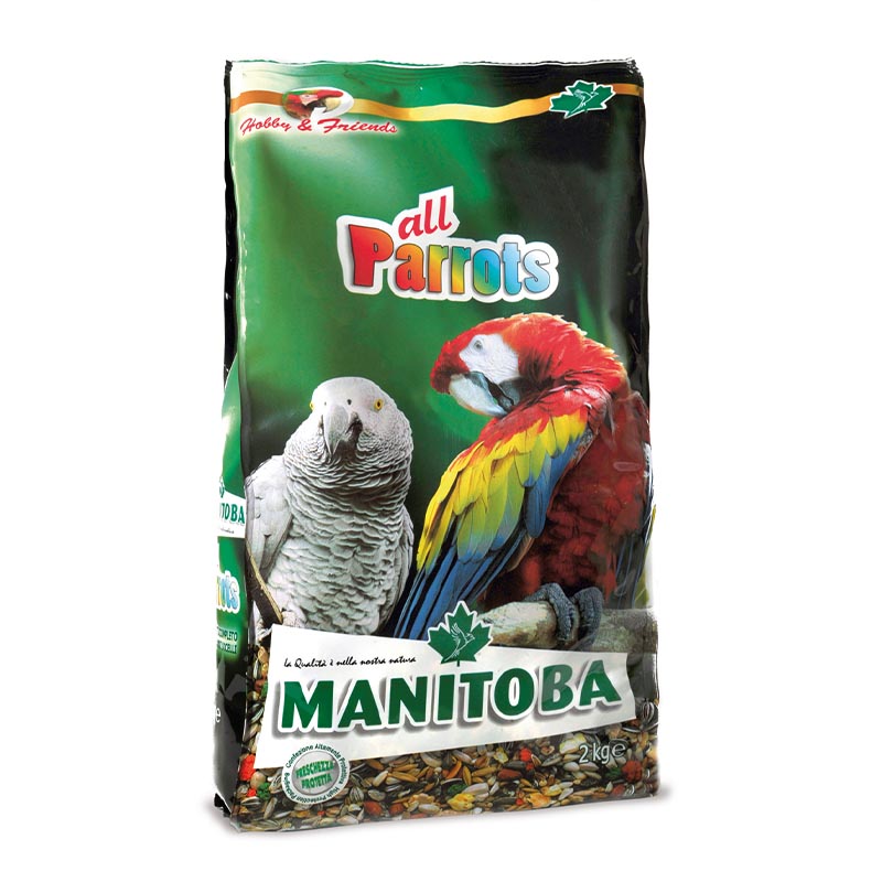 Bird Food